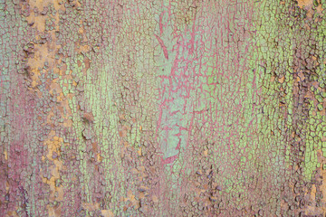 multicolor aged paint on wooden door grunge texture