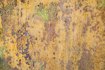 multicolor aged paint on wooden door grunge texture