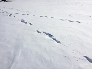 Holes on snow in winter