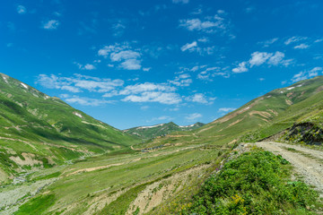 Fototapeta na wymiar Summer Mountain Plateau Lekoban Highland with Artvin, Turkey
