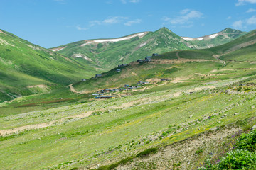 Summer Mountain Plateau Lekoban Highland with Artvin, Turkey