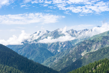 Summer Mountain Plateau Highland with Artvin, Turkey