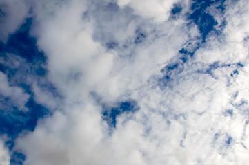 Cloud blue sky. Background with large white clouds in the atmosphere. The idyllic landscape of the firmament.