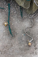 granchio e reti da pesca sulla banchina