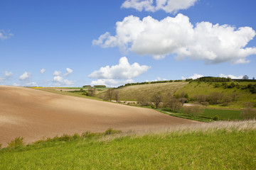 Obraz premium cultivated soil and meadows