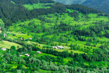 Summer Mountain Plateau Highland with Artvin, Turkey