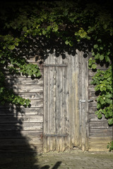 Old door in nature