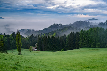 Fototapeta na wymiar Amazing warm sun light above the forest valley of czech national park bohemian switzerland