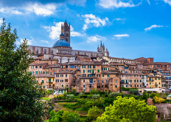 Fototapeta na wymiar Beautiful view of the historic city of Siena. Tuscany, Italy 