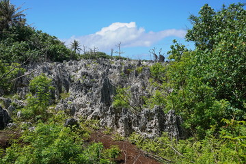 Fototapeta na wymiar Rugged landscape on the island of Rurutu with many eroded limestone rocks, French Polynesia, south Pacific, Australes archipelago