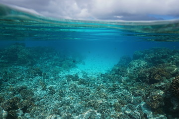 Underwater seascape shallow coral reef and cloudy sky split by waterline, lagoon of Rangiroa, Tuamotus, Pacific ocean, French Polynesia