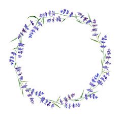 Wreath of lavender branches. Original isolated on white watercolor painting.