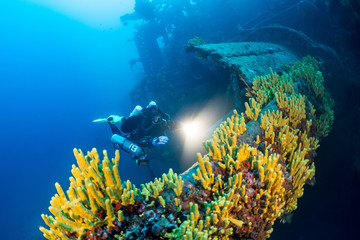Diving  wreck BRIONI Vis Island - obrazy, fototapety, plakaty