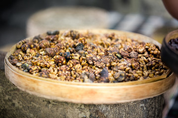 Kopi luwak or civet coffee