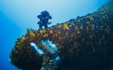 Diving on the wreck " Vissilios T " Island VIS Croatia © Wojciech
