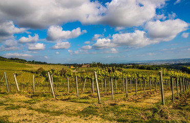 Fototapeta na wymiar Beautiful Tuscany landscape, Italy 