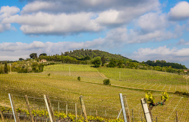  Beautiful Tuscany landscape, Italy 