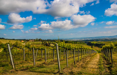 Fototapeta premium Beautiful Tuscany landscape, Italy 