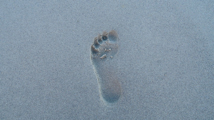 Left Foot Print in the Sand