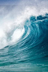 Foto op Plexiglas Big breaking Ocean wave on the north shore of Oahu Hawaii © Kelly Headrick