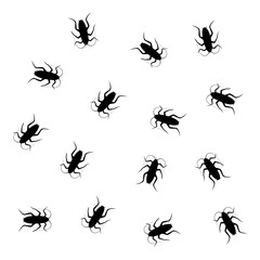 insect pattern