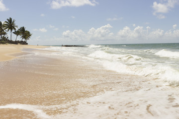 Obraz premium Coqueirinho beach, Conde (PB), Brazil