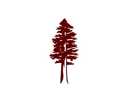 Redwood tattoo, Tree silhouette tattoo, Pine tree tattoo
