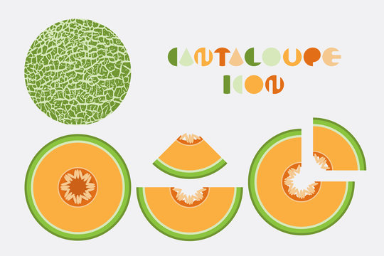 Icon set of cantaloupe and melon graphic design with circular shape.