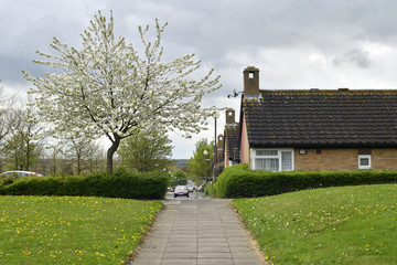 イギリスのニュータウン：ミルトン・キーンズの街並み