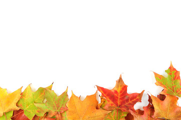 colorful autumn maple leaves frame isolated on white background