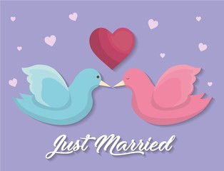 couple of doves with heart icon over purple background. colorful design. just married concept. vector illustration