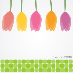 Tulip Flowers Background. Vector Illustration.