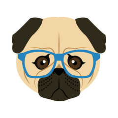 Portrait of a pug dog in glasses and a bow tie. Vector picture with the inscription