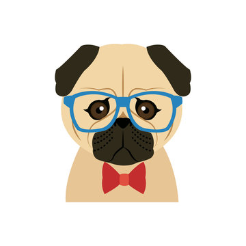 Portrait of a pug dog in glasses and a bow tie. Vector picture with the inscription