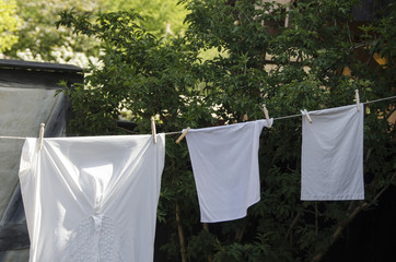 Laundry hanging in a backyard like in the old days.