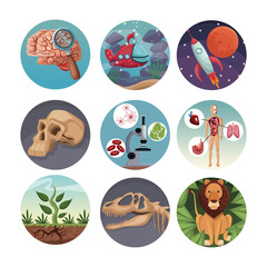 white background with circular buttons with picture world evolution inside vector illustration