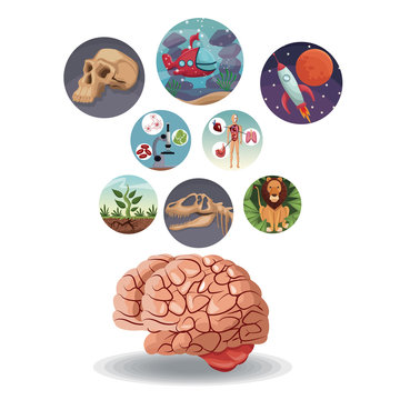 color circular icons with picture world evolution inside with above brain vector illustration