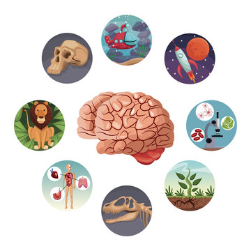 color circular icons with picture world evolution inside around to brain vector illustration