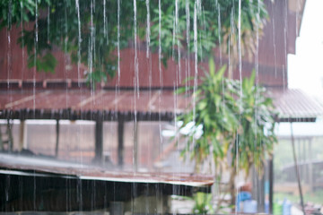 rain drops fast dipping from zinc roof