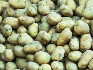 Potatoes