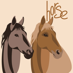 horse head  vector illustration style Flat set