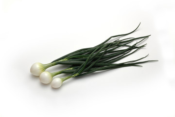 玉ネギ　葉たまねぎ