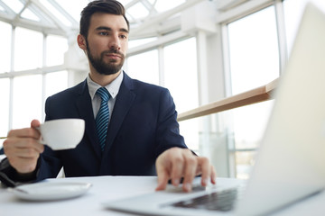 Portrait of handsome successful businessman working with laptop in cafe during coffee break