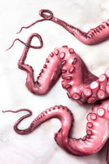 Overhead photo of octopus tentacles on white marble