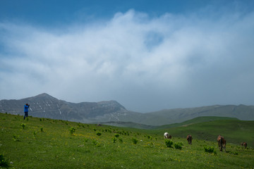 photographer is standing on a green meadow in the mountains on sky background with clouds pictures of horses