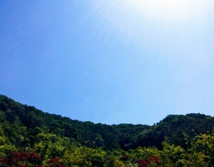 Mountain under the blue sky