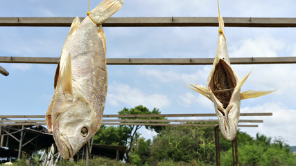 Salted dried fish in a fishing village in Kuantan, Malaysia