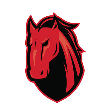 Mustang horse head