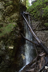 Waterfall in Slovak Paradise National park, Slovakia