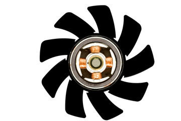 fan silhouette and Internal mechanism